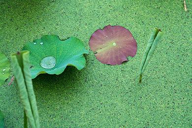 非实际销量？Switch2销量500万泄露数据或为预测值